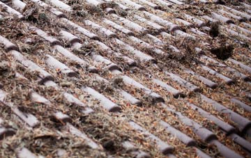 Blowinghouse roof cleaning companies